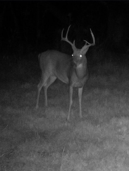 Simon Rd Unit LotWP001, Clinton, KY 42031