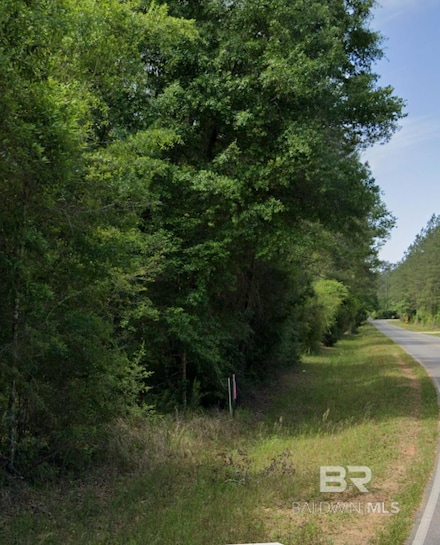 0 Byrnes Lake Rd Unit 17, Bay Minette, AL 36507