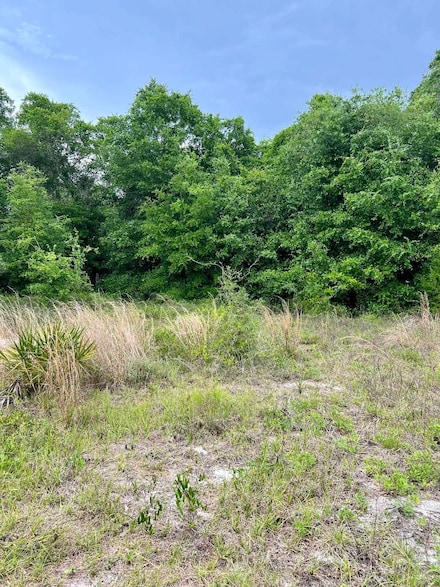 2523 Palmetto Terrace, Lanark Village, FL 32322