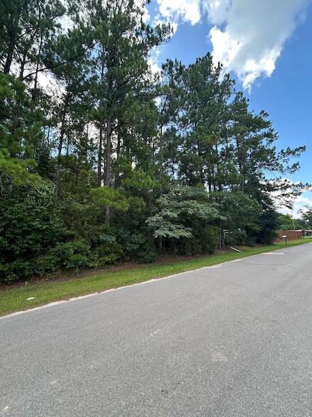Lot 5 Sesame St, Wewahitchka, FL 32465