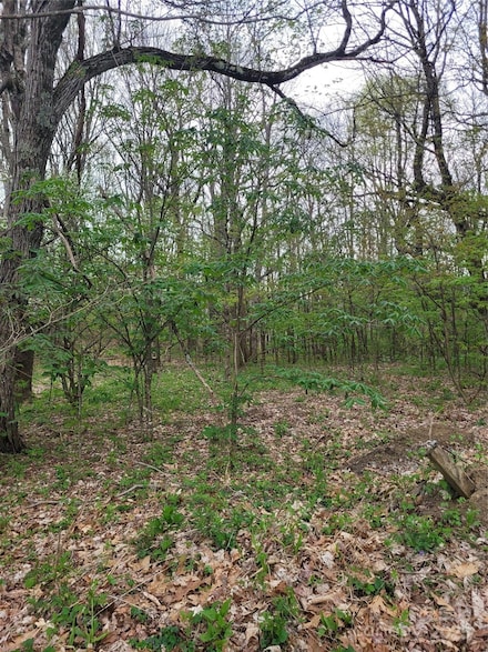 tbd Buena Vista Dr, West Jefferson, NC 28694