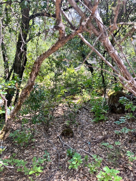 16486 8th Ave, Clearlake, CA 95422