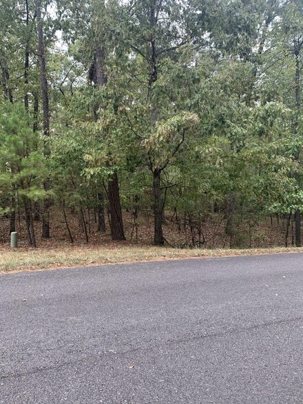 17 Princesa Dr, Hot Springs Village, AR 71909