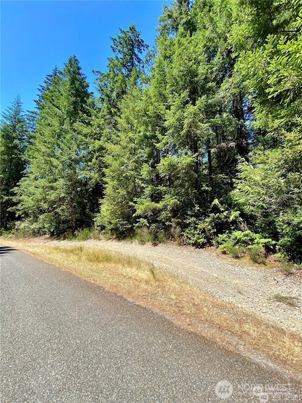 0 XXX E Balmoral Way, Shelton, WA 98584