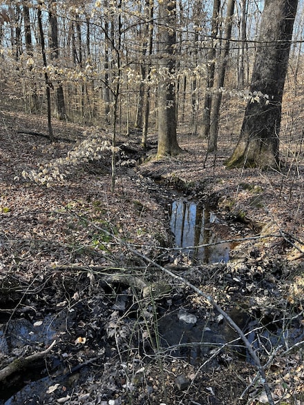 1232 W Point Rd, Lawrenceburg, TN 38464