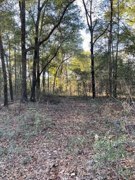 0 Lot 20 Arrowhead Ln Unit 25522, Fort Gaines, GA 39851