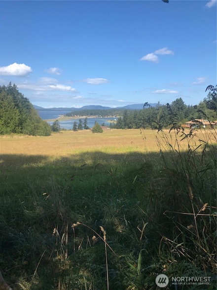0 Channel Rd Unit NWM2377246, Lopez Island, WA 98261