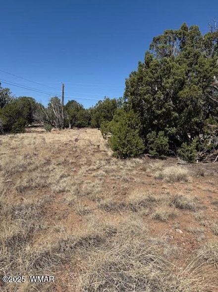 1858 Rainbow Cir, Show Low, AZ 85901
