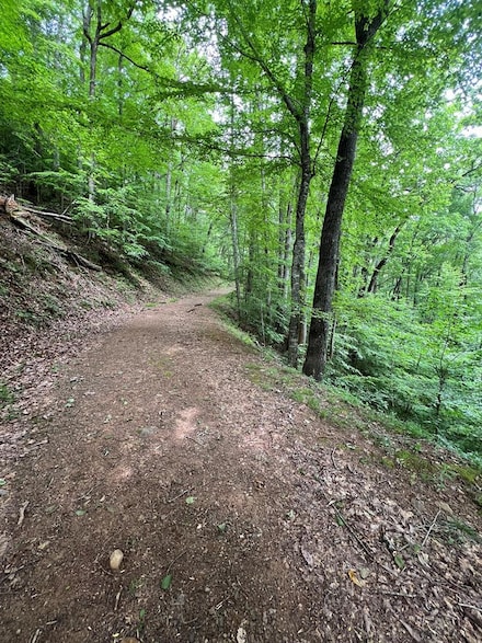 00 Woodland Heights, Franklin, NC 28734