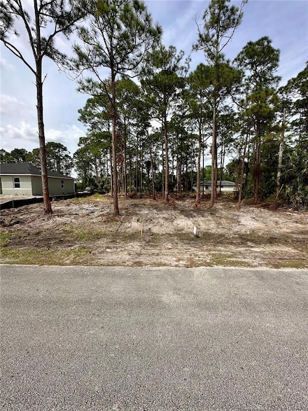 460 San Servando Ave SW, Palm Bay, FL 32908
