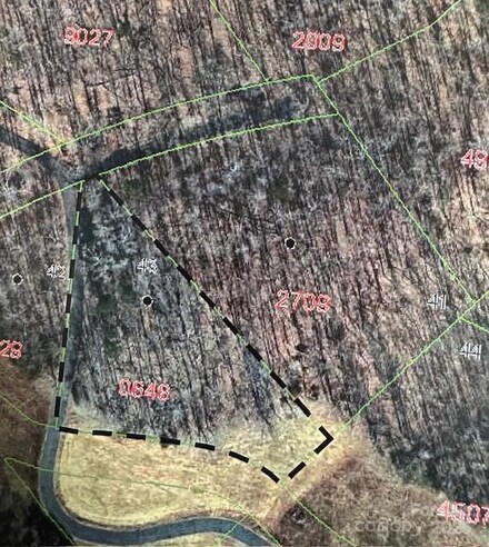 36 Everett Dr, Nebo, NC 28761