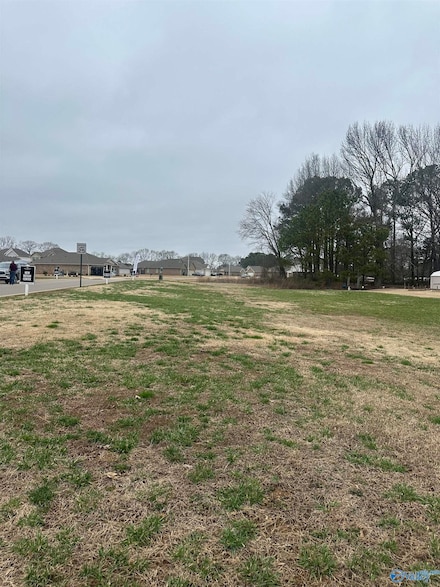 Tract 2 Old Railroad Bed Rd, Harvest, AL 35749