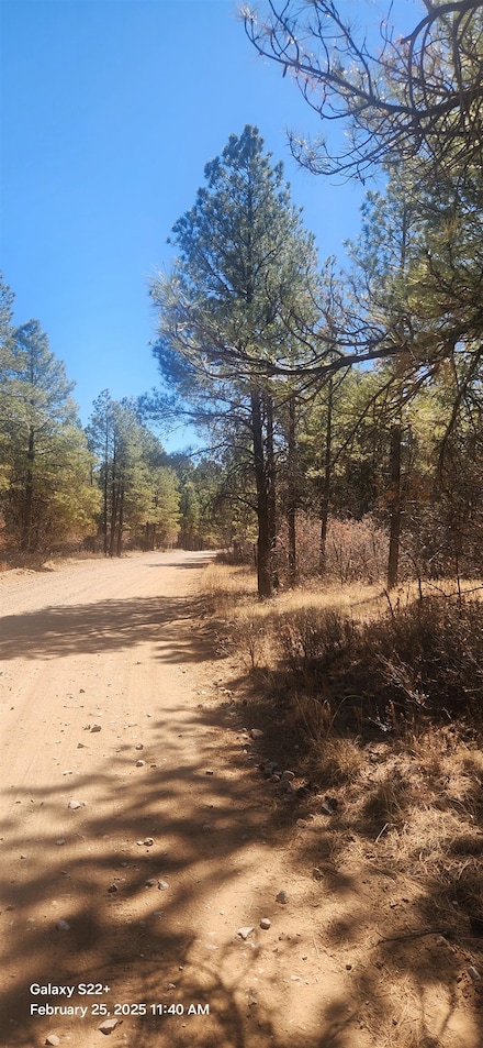 0 Carson Dr Unit 12,13, Timberon, NM 88350