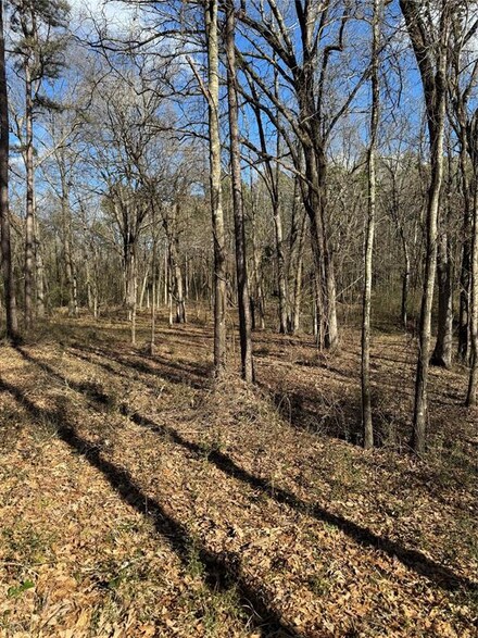 0 Fannie Mae Lot 1 Dr, Broken Bow, OK 74728