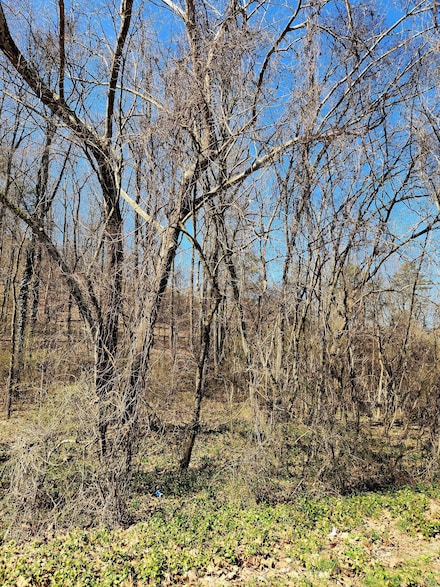 8819 Gann Rd, Soddy Daisy, TN 37379