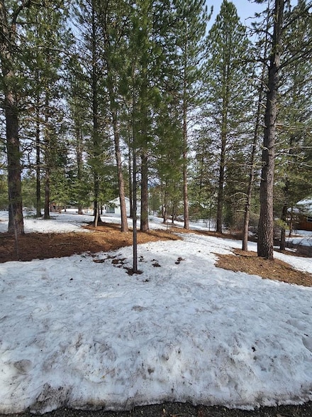 TBD Columbine Unit 16, New Meadows, ID 83654