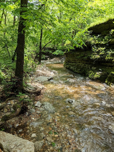 000 Coyote Ridge Rd, Flat Creek Township, MO 65625