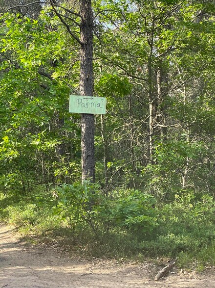 0 Parma Unit 25 201830027, Grayling, MI 49738