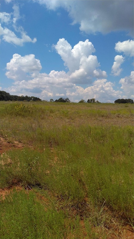 TBD Lot 44 Cr 127, Carlton, TX 76436