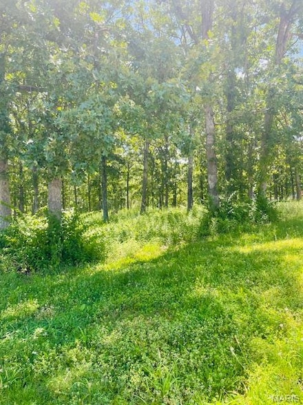 0 Krausetown Rd Unit MIS25043298, Owensville, MO 65066