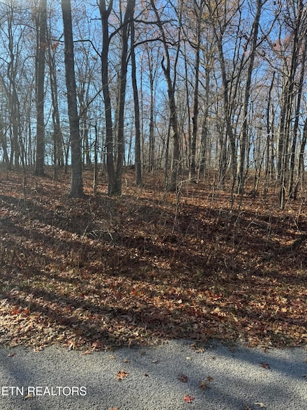 620 Catawba Ln, Crossville, TN 38572