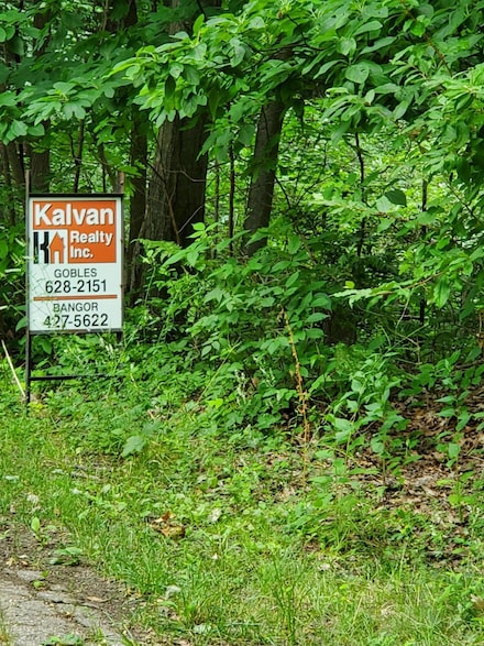 36200 Maier St, Bloomingdale Township, MI 49055