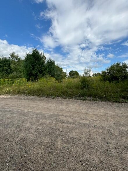 0 West Ave Unit 24046388, Martiny Township, MI 49342
