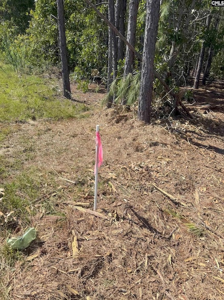 KF 4 State Road S-28-354 Unit KF 4, Kershaw, SC 29067