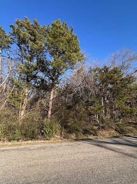 Lots 251-254 County Rd, Sherwood Shores, TX 76245