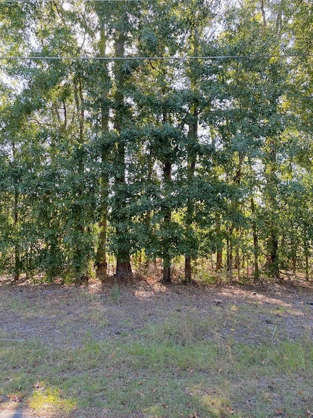 0 Inizer Dr, Vidalia, GA 30474