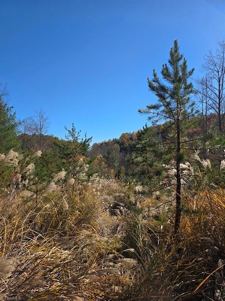 TBD Browntown Rd, Wilbar, NC 28651