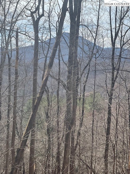 TBD  Lot 18 Carefree Cove Rd, Zionville, NC 28698