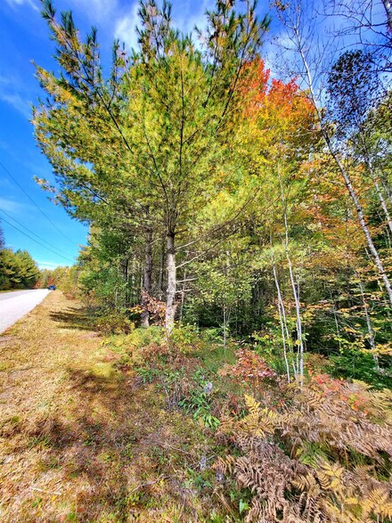TBD Thorn Hill Rd, Bethlehem, NH 03574
