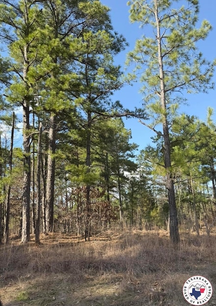 526 Shell, Texarkana, AR 71854