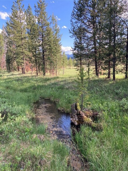 TBD Grouse Hill, Georgetown Lake, MT 59711