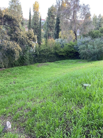 7013 Hillside Ln, Whittier, CA 90602