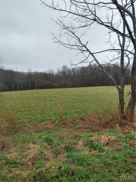 00 4-H Camp Rd, Solon, NY 13101