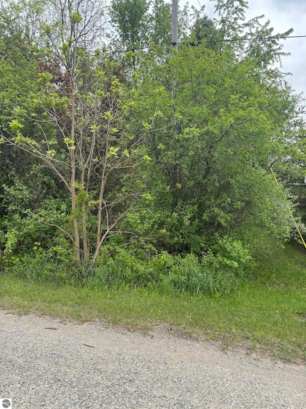 Lot 49 Leona Dr, Chippewa Township, MI 48858
