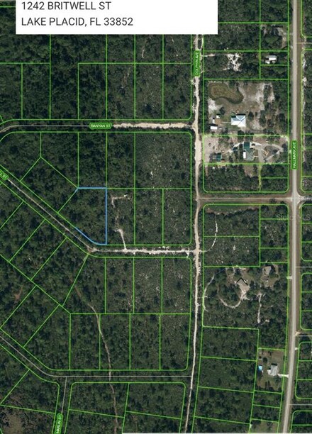 1242 Britwell St, Lake Placid, FL 33852