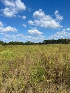0 Garrett Rd, Silver Creek, MS 39663