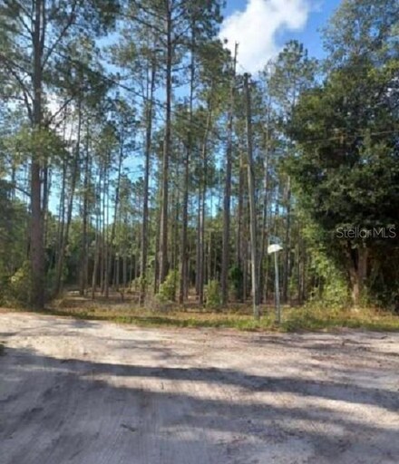 TBD SW Ln, Dunnellon, FL 34432