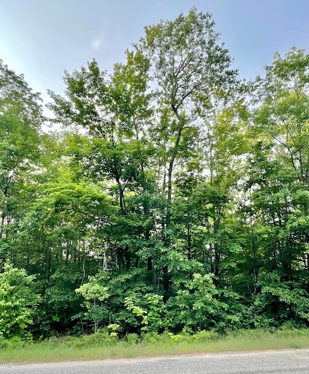 533 Echo Dr, Otsego Lake Township, MI 49733
