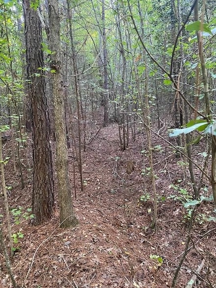 0 Frontier Rd Unit 22779443, Pauline, SC 29335