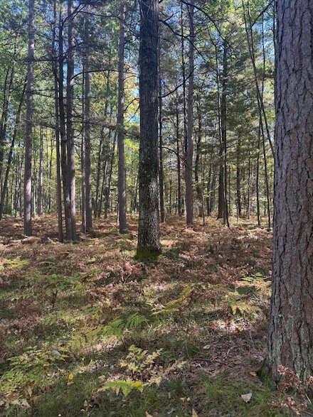 V/L 3.78AC Pheasant Way, Backus Township, MI 48651