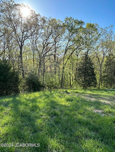 LOT 1 Birdie Hill Rd, Summit Township, MO 65043