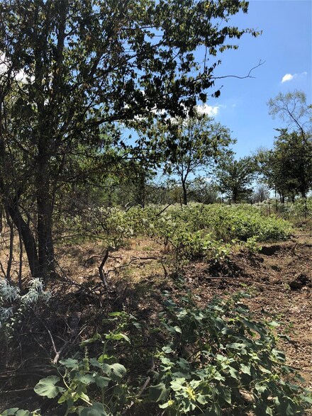 TBD 15 Acres County Road 2190, Richland, TX 76681