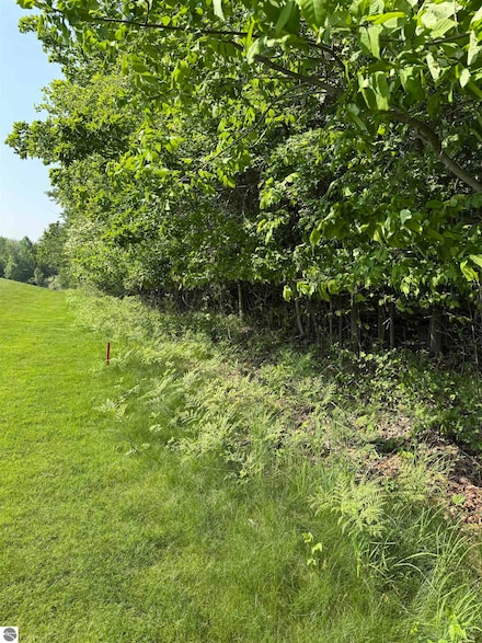 0000 Mooney Way, Torch Lake Township, MI 49648