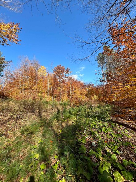 1843 Downer Rd, Sharon, VT 05065