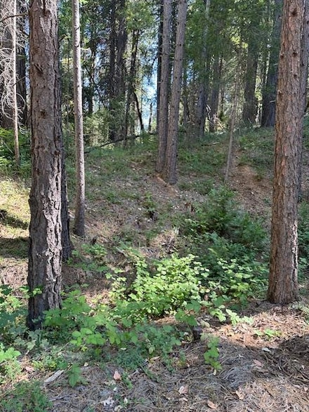 12080 Brunswick Rd, Grass Valley, CA 95945