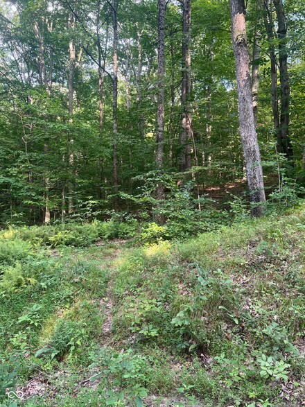 000 Sunnyslope Dr, Jackson Township, IN 46151